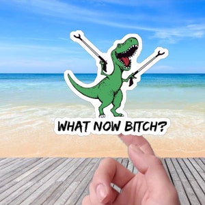What Now Bitch Funny Dinosaur sarcastic meme vinyl sticker, vinyl decal sticker for laptops, cars, hydroflask, toolbox, Free Shipping