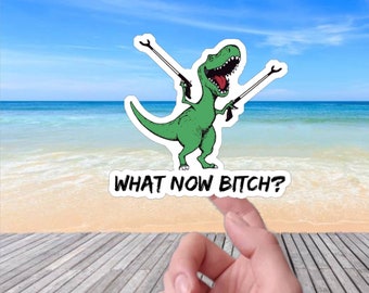 What Now Bitch Funny Dinosaur sarcastic meme vinyl sticker, vinyl decal sticker for laptops, cars, hydroflask, toolbox, Free Shipping