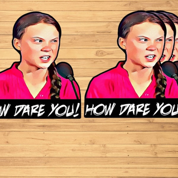 Greta Thunberg How Dare You vinyl sticker, vinyl decal sticker for laptops, cars, hydroflask, toolbox, Free Shipping