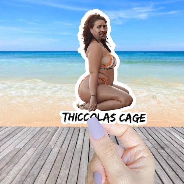 Thiccolas Cage Nicolas Cage vinyl sticker, vinyl decal sticker for laptops, cars, hydroflask, toolbox, Free Shipping Meme parody