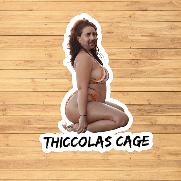 Thiccolas Cage Nicolas Cage vinyl sticker, vinyl decal sticker for laptops, cars, hydroflask, toolbox, Free Shipping Meme parody
