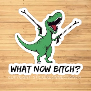 What Now Bitch Funny Dinosaur sarcastic meme vinyl sticker, vinyl decal sticker for laptops, cars, hydroflask, toolbox, Free Shipping