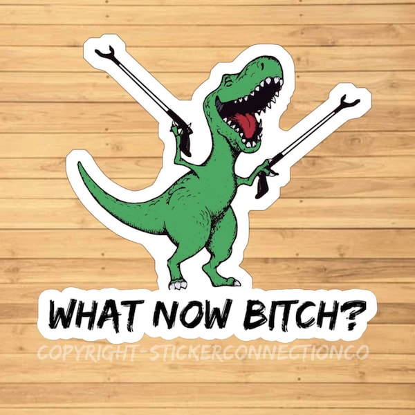 Wat nu Bitch Funny Dinosaur sarcastic meme vinyl sticker, vinyl sticker voor laptops, auto's, hydroflask, toolbox, gratis verzending