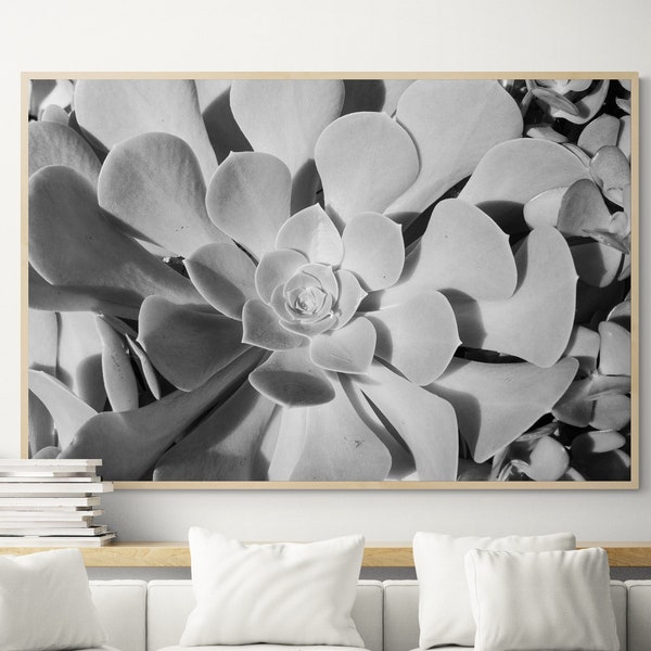 Succulent Photo, Succulent Print, Large Succulent, Black and White, Botanical Art, Nature, Cactus Prints, Macro Photography