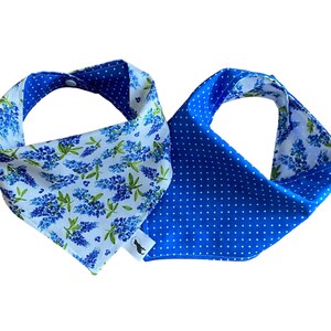 Bluebonnet Dog Bandana, Blue and White Polka Dot, Reversible Dog Bandana