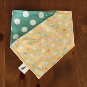 Birthday Presents Packages Dog Bandana