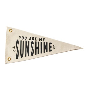 Kids Room Canvas Pennant | You Are My Sunshine Wall Decor | Nursery Decor | Flag Banner