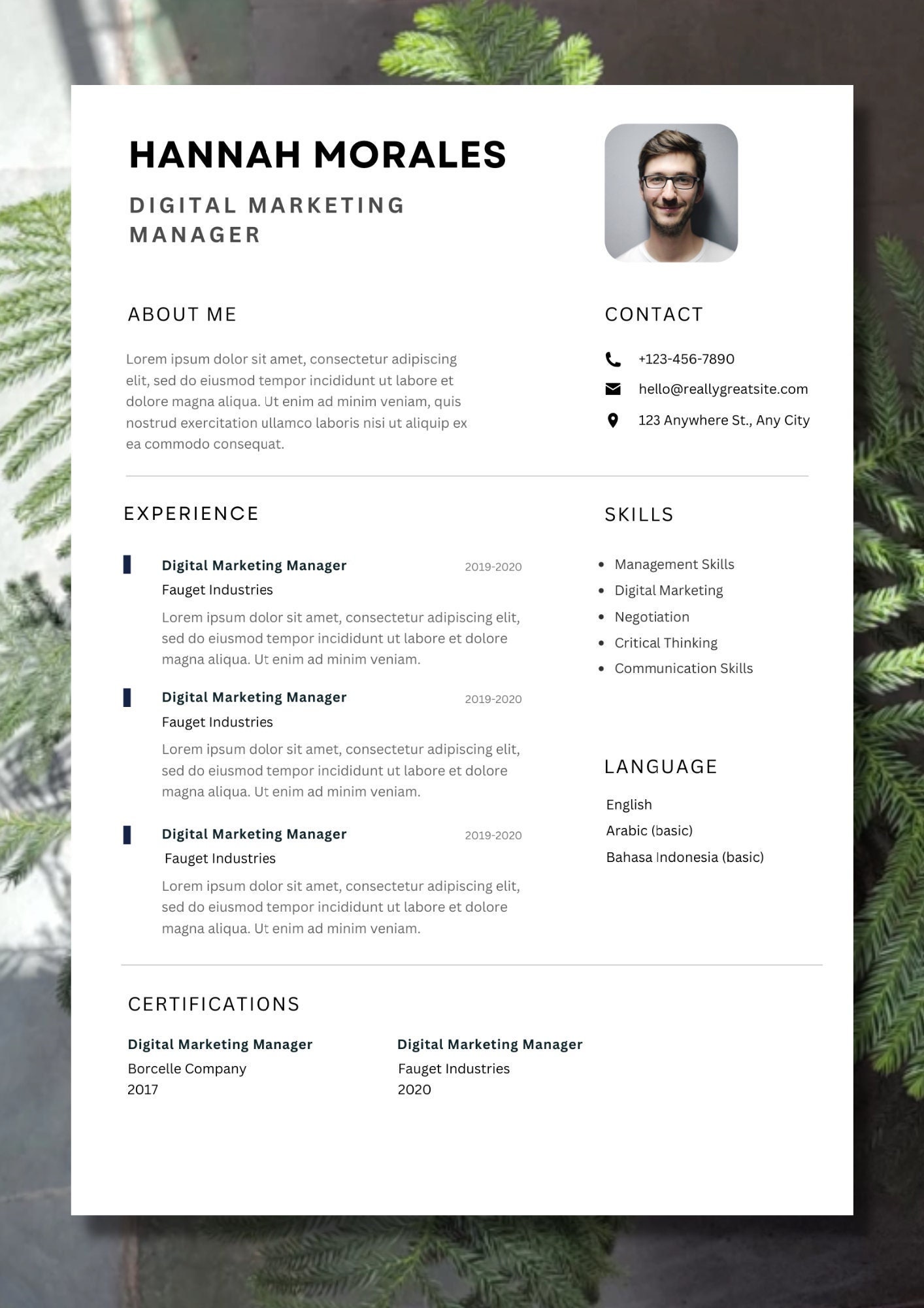 Editable Professional Resume Template Microsoft Word and Canva Link ...