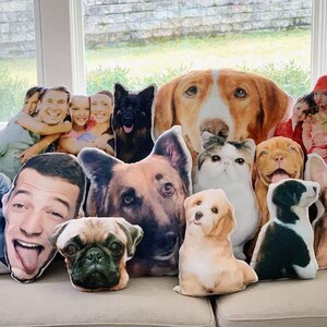 Könnte beinhalten: Eine Sammlung von individuell bedruckten Kissen mit Gesichtern und Haustieren. Die Kissen zeigen Bilder von Menschen, Hunden und einer Katze. Die Kissen sind auf einem beigen Sofa vor einem Fenster angeordnet.