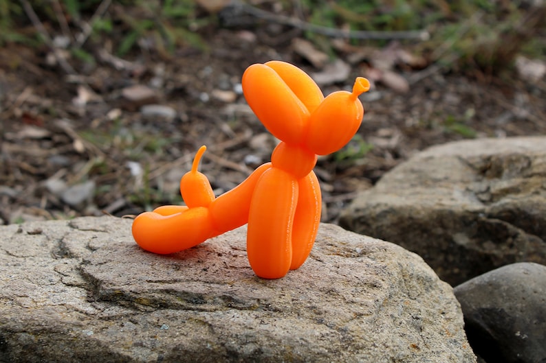 Balloon Dog Upward Dog Pose image 3