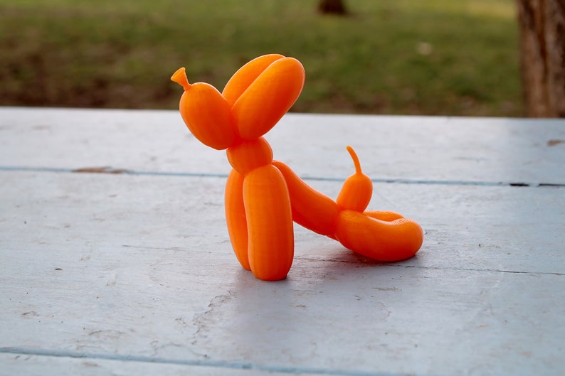 Balloon Dog Upward Dog Pose image 9