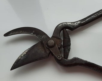 Vintage scissors. Vine shears.  Old orchard shears. Shrub shears. Old scissors. Garden scissors. Garden tools.Cutting scissors. Rustic decor