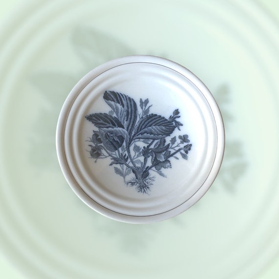 Fruit Plate by Società Ceramica Italiana Di Laveno, 1940s, With