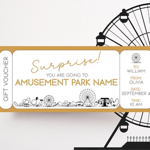 Theme Park Ticket Amusement Park Voucher Theme Park Coupon Personalised Printable Gift For Him Editable Voucher Kids Instant Download