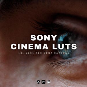 May include: Close-up of an eye with the text "SONY CINEMA LUTS" in white. Below the text is "10. CUBE FOR SONY CAMERAS". The image has a dark brown background with the eye in focus.
