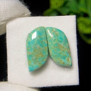 Puede incluir: Dos piedras preciosas turquesas pulidas, con forma de hoja. Las piedras tienen un patrón moteado de color turquesa y marrón, sobre un fondo blanco. Las piedras preciosas son probablemente para la fabricación de joyas o coleccionismo.
