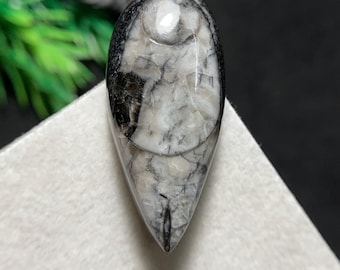 Splendido cabochon di fossile di Orthoceras naturale, creazione con questa reliquia senza tempo proveniente dalle profondità degli antichi mari, 33 x 15 x 8 mm, 31,3 carati