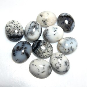May include: Ten oval dendritic opal gemstones in a variety of shades. The opals display patterns of white, grey, and black, with dendritic inclusions that resemble trees. The gemstones are polished and have a glossy finish.