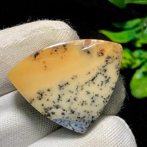 May include: A polished, triangular gemstone with a layered appearance. The top section is a light yellow, transitioning to a creamy white base with intricate black dendrite patterns. The bottom edge has a hint of blue.