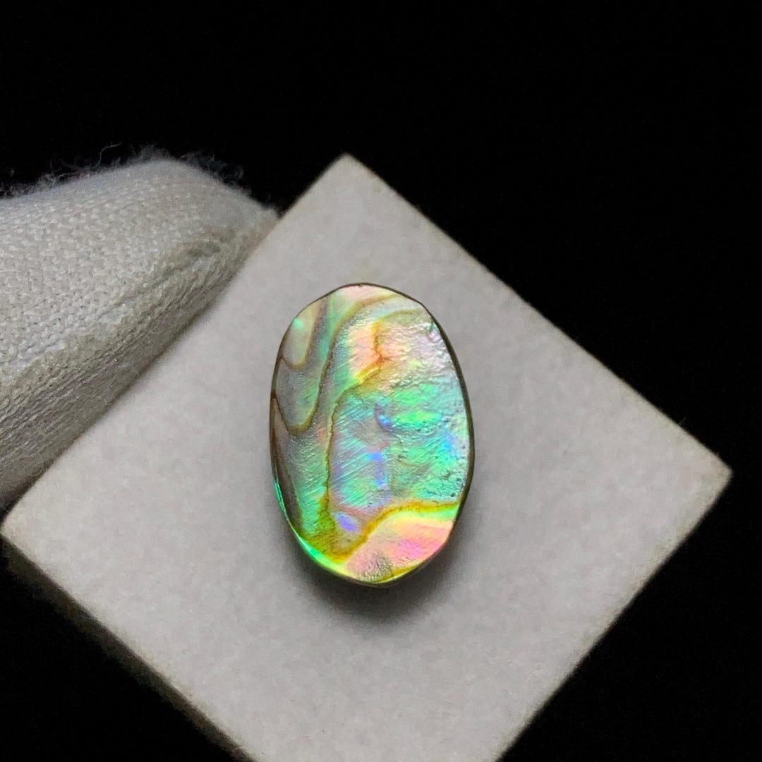 Gorgeous Abalone Shell Cabochon Stone Glowing Like a Rainbow, 14 X 9 X ...