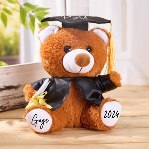 Personalized Graduation Bear,Graduation Keepsake,Graduation Teddy Bear 2024,Grad Bear,Stuffed Animal,Collage Graduation Gift for her 2024 image 6