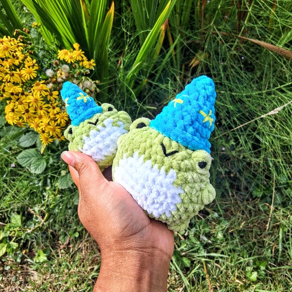 Whimsical Wizard Froggie