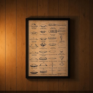 May include: A framed poster on a wooden wall featuring a grid of black line drawings of various unidentified flying objects. Each illustration is labeled with descriptive text detailing shapes, sizes, and historical sighting locations.