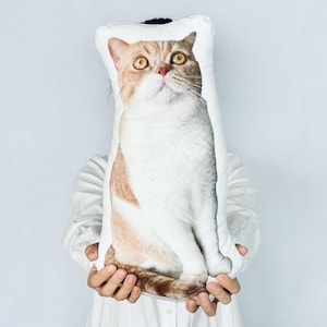 Custom Cat Pillow, Cat Pillow, Cat Photo Pillow, Cat Shaped Pillow, Pet Memorial Gifts, Gift for Cat Lover, Custom Cat Plushie, Cat Cushion