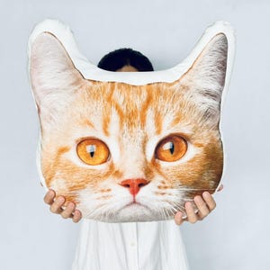 Custom Cat Pillow, Cat Face Pillow, Cat Photo Pillow, Dog Face Pillow, Pet Memorial Gifts, Pet Lover Gift, Custom Pet Pillow, Face Pillow