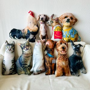 Aangepast kussen met foto huisdier, realistisch 3D kussen hond kat, gepersonaliseerd herdenkingscadeau