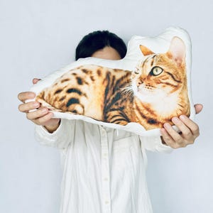 Custom Cat Pillow, Custom 3D Cat Pillow, Ugly Cat Pillow, Cat Shaped Pillow, Cat Lover Gift, Gift for Cat Owner, Custom Cat Photo Cushion