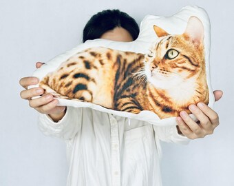 Custom Cat Pillow, Custom 3D Cat Pillow, Ugly Cat Pillow, Cat Shaped Pillow, Cat Lover Gift, Gift for Cat Owner, Custom Cat Photo Cushion