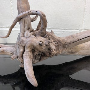 Aquarium Driftwood: Natural Wood Terrarium Decor - 24.5&quot; x 11&quot; x 8&quot;