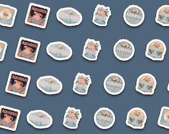 Vintage Vase Aquarius Sticker Pack | Floral Astrology Stickers | Aquarius Birthday Gift | Cottagecore Laptop Water Bottle Planner Decals