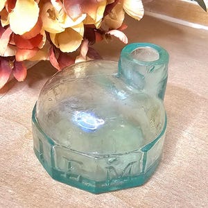 Antique Aqua Igloo/Turtle Ink Bottle