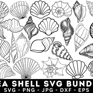 May include: A collection of 20 black and white illustrations of seashells. The illustrations are in various styles, including realistic, stylized, and cartoonish. The seashells are all different shapes and sizes.