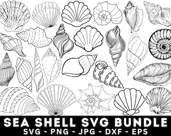 Seashell SVG Bundle: Sea Shell Clipart, Cut Files (Digital Download)