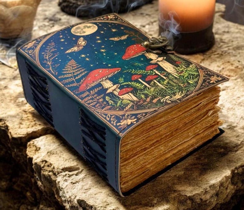 journal cover