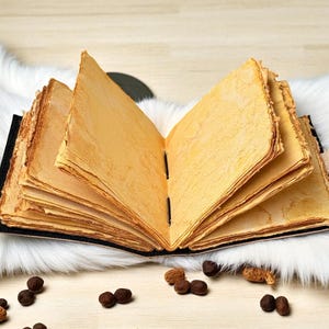 May include: An open, antique-style journal with aged, yellowed pages. The book has a black cover and a decorative clasp. The pages are slightly textured, and the journal rests on a white, fluffy surface. Scattered around the journal are several small, brown seed pods.