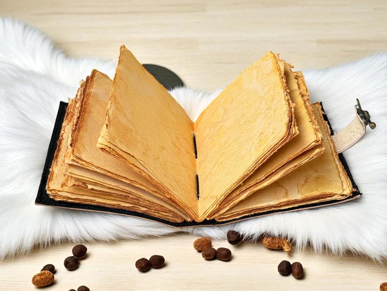 May include: An open, antique-style journal with aged, yellowed pages. The book has a black cover and a decorative clasp. The pages are slightly textured, and the journal rests on a white, fluffy surface. Scattered around the journal are several small, brown seed pods.