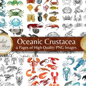 Vintage Oceanic Crustacea - Digital Image Files for Crustaceacore, Scrapbooking, Junk Journals, Collage, Decoupage, Art Journals Papercraft