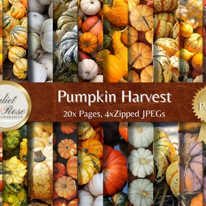 May include: A digital paper pack with 20 pages of various autumnal colored pumpkins and gourds. The title "Pumpkin Harvest" and the text "20x Pages, 4xZipped JPEGs" are displayed on a brown leather background.