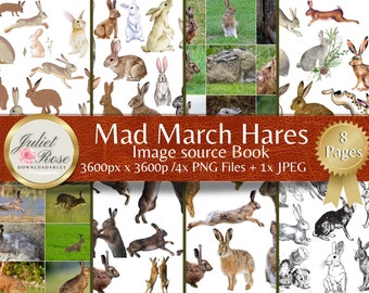 May include: A digital download of 8 pages of watercolor and line art illustrations of hares. The title "Mad March Hares" is displayed on a brown leather background. The text "Image source Book" is below the title. The text "3600px x 3600p/4x PNG Files + 1x JPEG" is below the title. The text "8 Pages" is displayed on a gold star.