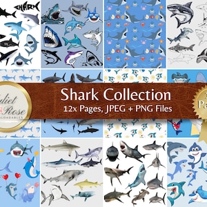 May include: A digital paper pack with 12 pages of shark illustrations. The pages feature various shark designs, including cartoon sharks, realistic sharks, and shark patterns. The text "Shark Collection" and "12 Pages" is displayed on the image.