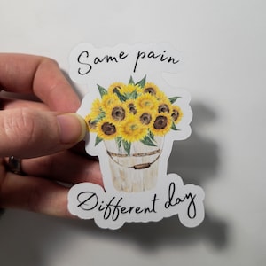 Chronic Illness Sticker Same Pain Different Day Vinyl or Paper POTS Syndrome Chronic Fatigue MCAS EDS
