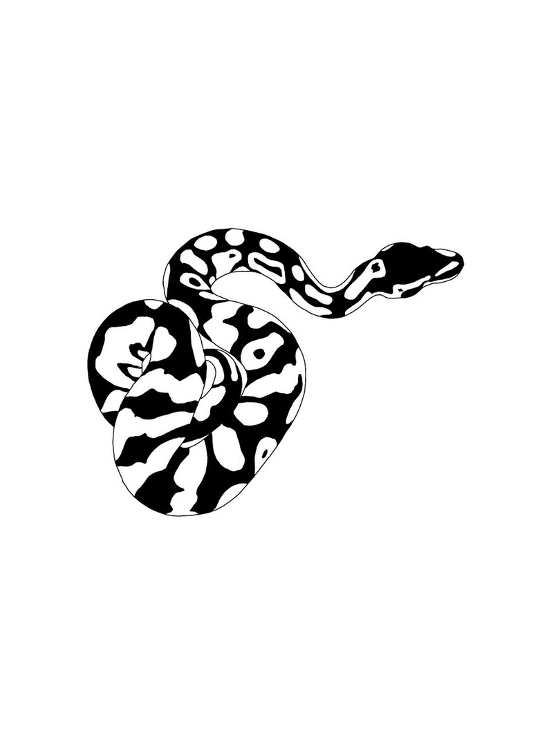 K&ouml;nnte beinhalten: Schwarz-wei&szlig;-Zeichnung eines Schlangen, die sich zu einem Kreis zusammenrollt.