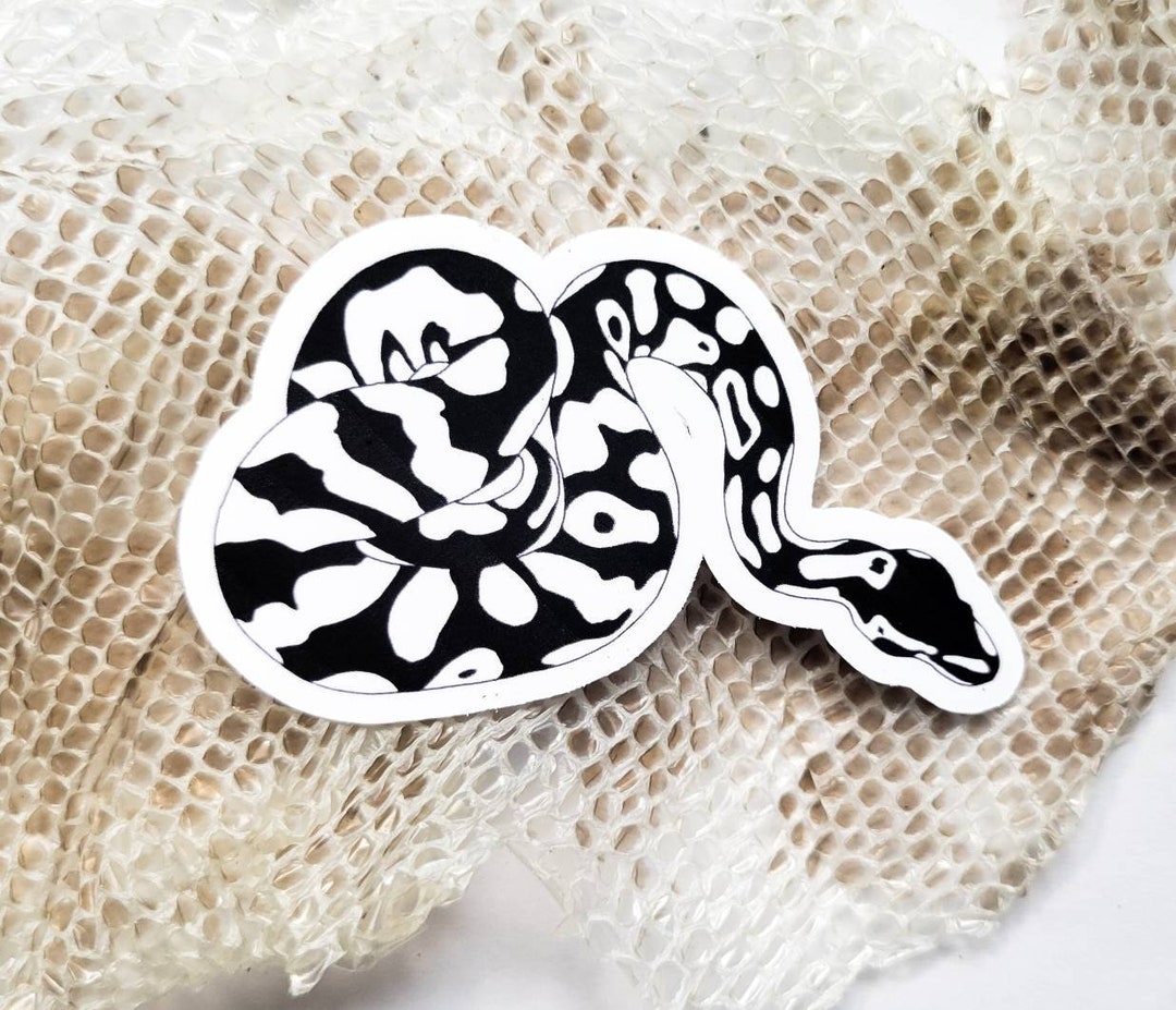 Ball Python Snake Sticker - Etsy
