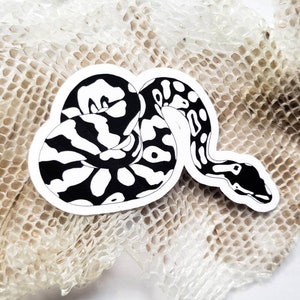 Ball Python Snake Sticker