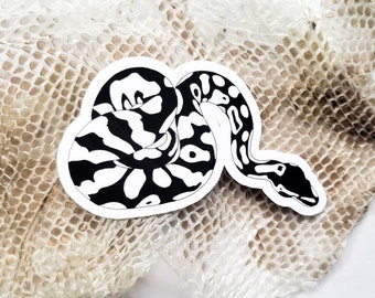 Kugel Python Schlange Aufkleber