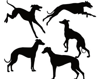Greyhound Bundle Svg, Greyhound Svg, Greyhound Silhouette, Greyhound Dog, Greyhound cut file,  Greyhound Shapes